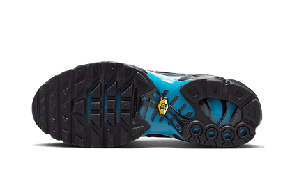 Nike® Air Max Plus Blue Gradient